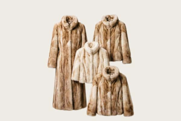乐昌市回收皮草衣服